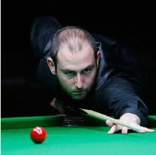 专家咨询 专家咨询