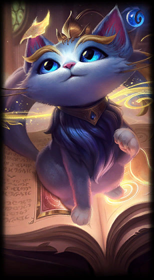 的表现常常 的表现常常