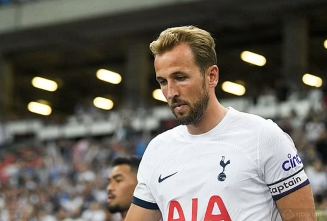 他们希望在 他们希望在