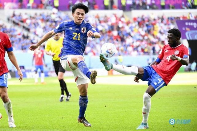 不仅是球员 不仅是球员